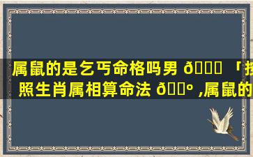 属鼠的是乞丐命格吗男 🐋 「按照生肖属相算命法 🐺 ,属鼠的人是什么命」